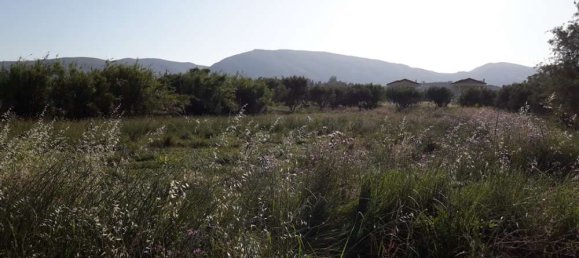terreno en venta en Zakynthos, Ionian Islands, Peloponnese, Western Greece and the Ionian, Greece № 832 13