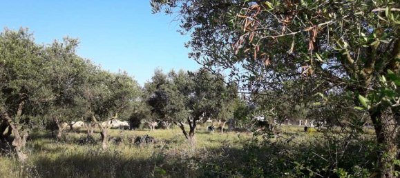terreno en venta en Zakynthos, Ionian Islands, Peloponnese, Western Greece and the Ionian, Greece № 832 6