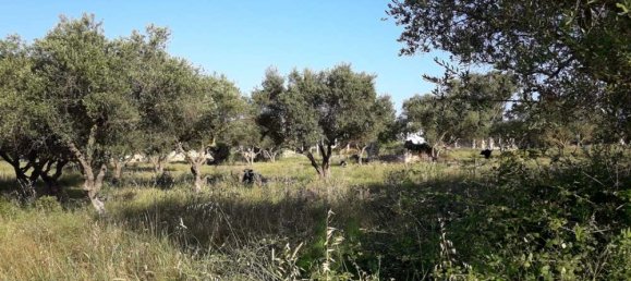 terreno en venta en Zakynthos, Ionian Islands, Peloponnese, Western Greece and the Ionian, Greece № 832 21