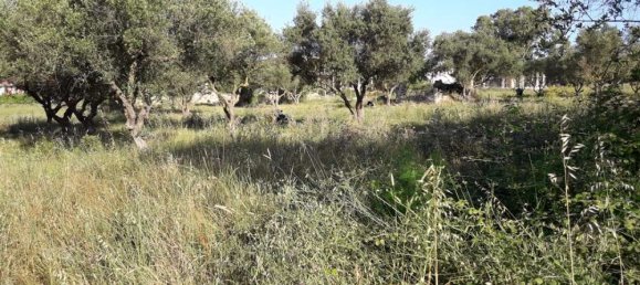 terreno en venta en Zakynthos, Ionian Islands, Peloponnese, Western Greece and the Ionian, Greece № 832 11