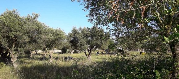 terreno en venta en Zakynthos, Ionian Islands, Peloponnese, Western Greece and the Ionian, Greece № 832 4