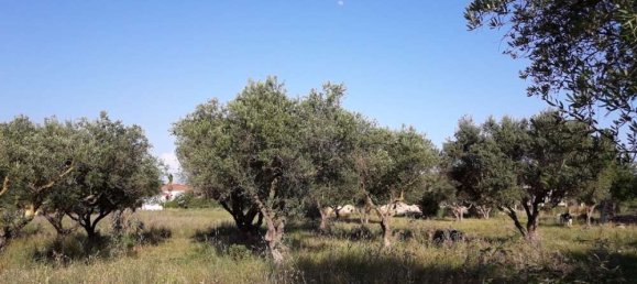 terreno en venta en Zakynthos, Ionian Islands, Peloponnese, Western Greece and the Ionian, Greece № 832 5