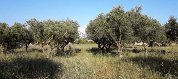 terreno en venta en Zakynthos, Ionian Islands, Peloponnese, Western Greece and the Ionian, Greece № 832 10