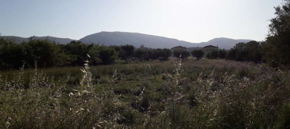 terreno en venta en Zakynthos, Ionian Islands, Peloponnese, Western Greece and the Ionian, Greece № 832 16