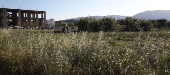 terreno en venta en Zakynthos, Ionian Islands, Peloponnese, Western Greece and the Ionian, Greece № 832 15