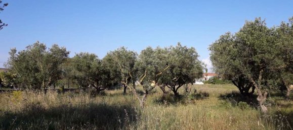 terreno en venta en Zakynthos, Ionian Islands, Peloponnese, Western Greece and the Ionian, Greece № 832 20
