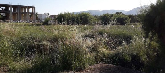 terreno en venta en Zakynthos, Ionian Islands, Peloponnese, Western Greece and the Ionian, Greece № 832 3