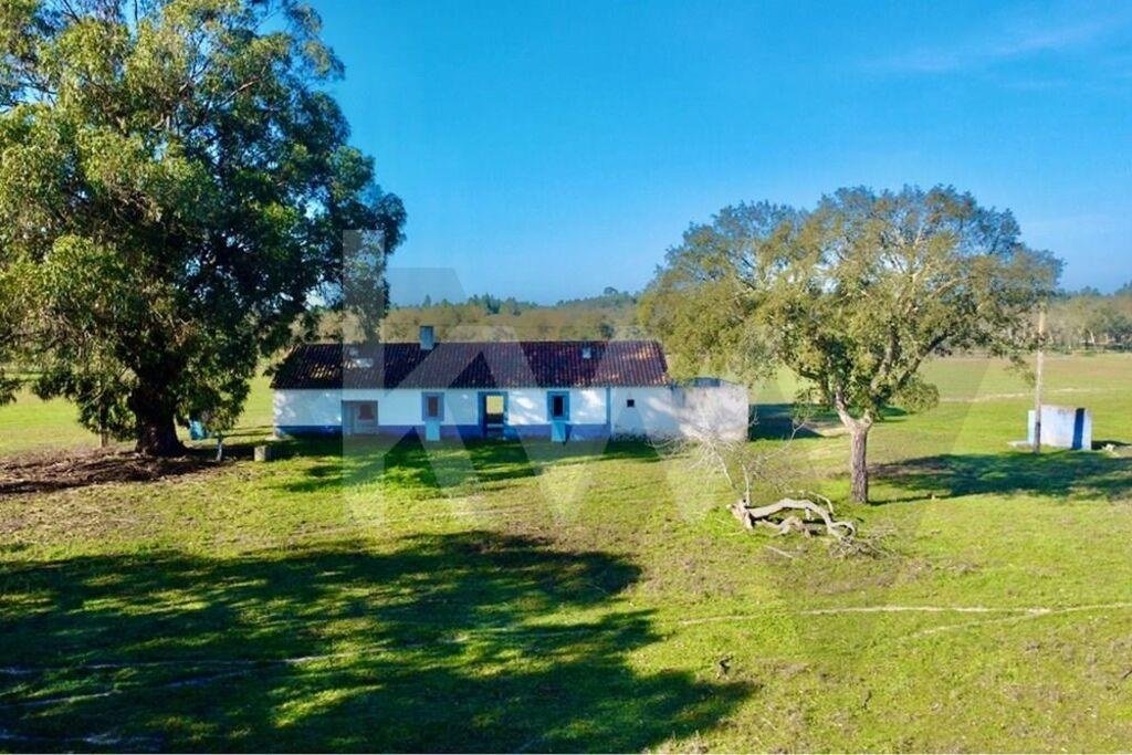 3 bedrooms Land in Santiago do Cacem, Portugal No. 273081