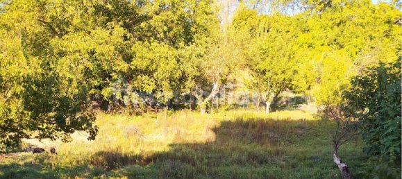 1 غرف نوم شقة في Ovada, Italy رقم 317349 16