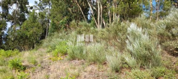 2550m² Land in Amarante, Portugal No. 56122 2