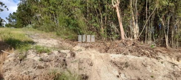 2550m² Land in Amarante, Portugal No. 56122 4