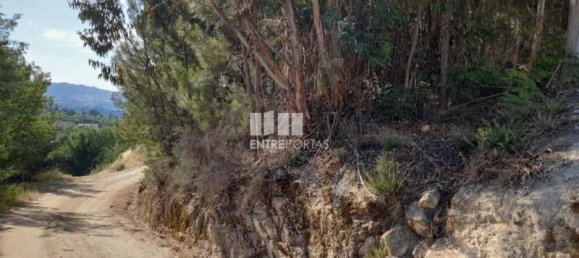 2550m² Land in Amarante, Portugal No. 56122 3