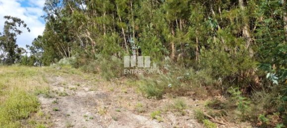 2550m² Land in Amarante, Portugal No. 56122 5