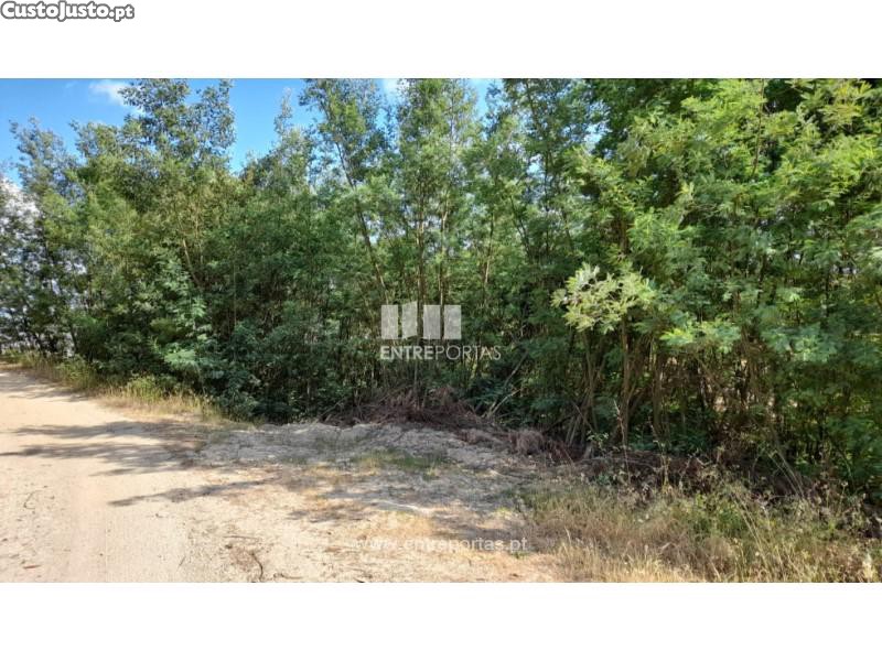 2550m² Land in Amarante, Portugal No. 56122