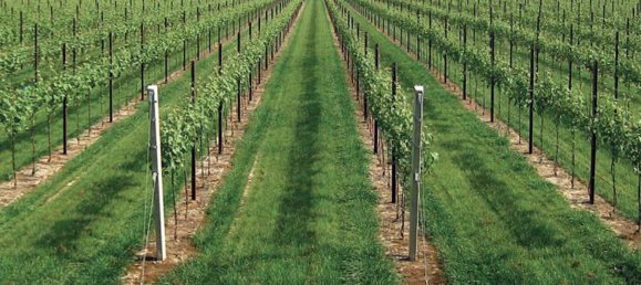 Земельный участок 1090м² в Лонато дель Гарда, Италия № 300381 6