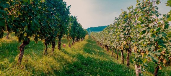 Земельный участок 1090м² в Лонато дель Гарда, Италия № 300381 8