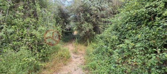 Дом с 2 спальнями в Сан Луиш, Португалия № 190198 44