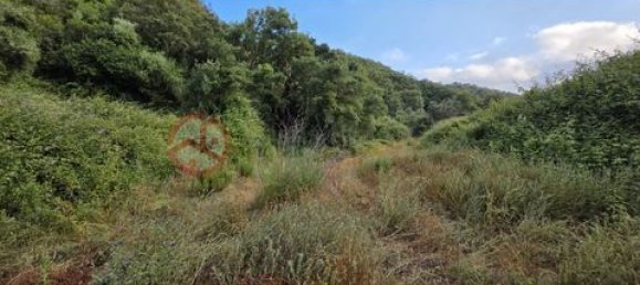 Дом с 2 спальнями в Сан Луиш, Португалия № 190198 49