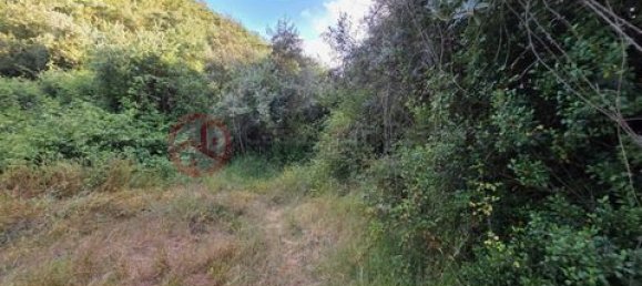 Дом с 2 спальнями в Сан Луиш, Португалия № 190198 39