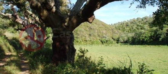 Дом с 2 спальнями в Сан Луиш, Португалия № 190198 35