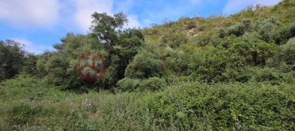 Дом с 2 спальнями в Сан Луиш, Португалия № 190198 50