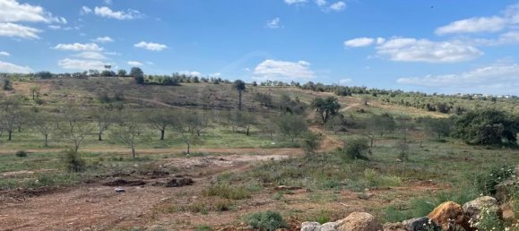 144120m² Land in Loule, Portugal No. 63312 5