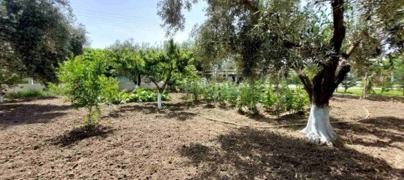 2 bedrooms Commercial property in Chalkidiki, Greece No. 2132 26