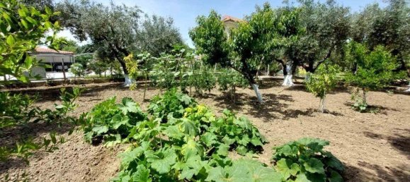 2 غرف نوم عقار تجاري في Chalkidiki, Greece رقم 2132 17