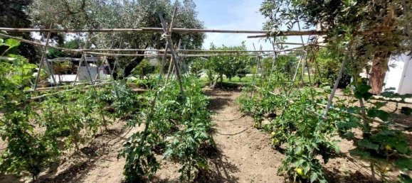 2 bedrooms Commercial property in Chalkidiki, Greece No. 2132 16