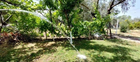 2 غرف نوم عقار تجاري في Chalkidiki, Greece رقم 2132 18