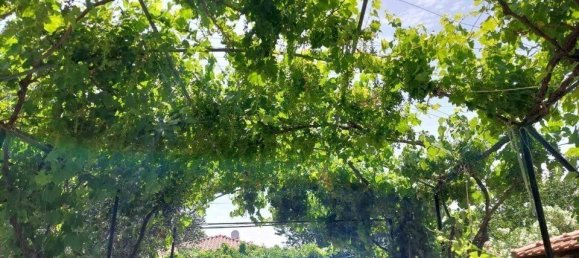 2 bedrooms Commercial property in Chalkidiki, Greece No. 2132 10