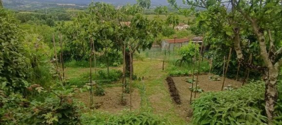 4 rooms Apartment in Laterina Pergine Valdarno, Italy No. 238069 4