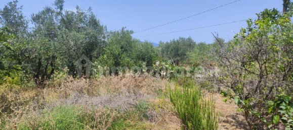 2 bedrooms Apartment in Sessa Aurunca, Italy No. 262127 35