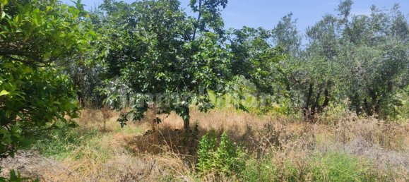 2 bedrooms Apartment in Sessa Aurunca, Italy No. 262127 34