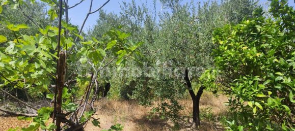 2 bedrooms Apartment in Sessa Aurunca, Italy No. 262127 36