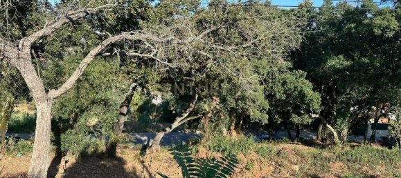 Grundstück in Coimbra, Portugal, Nr. 67973 10