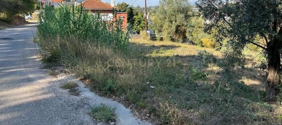 Grundstück in Coimbra, Portugal, Nr. 67973 15