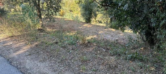 Grundstück in Coimbra, Portugal, Nr. 67973 3