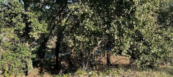 Grundstück in Coimbra, Portugal, Nr. 67973 11