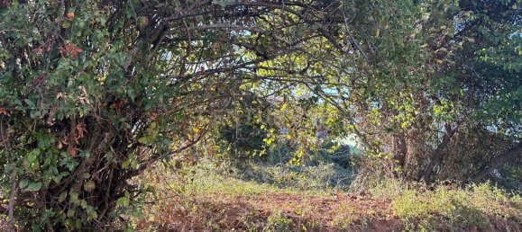 Grundstück in Coimbra, Portugal, Nr. 67973 22