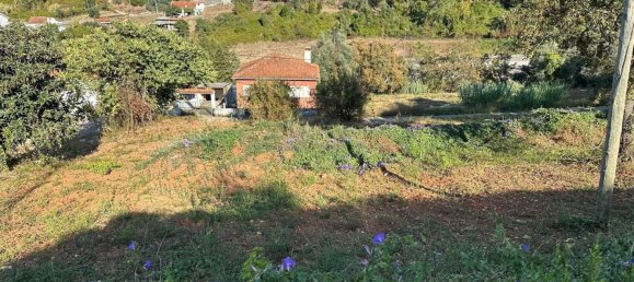 Grundstück in Coimbra, Portugal, Nr. 67973 26