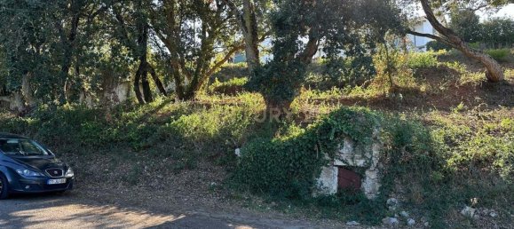 Grundstück in Coimbra, Portugal, Nr. 67973 17