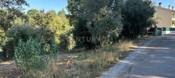 Grundstück in Coimbra, Portugal, Nr. 67973 19