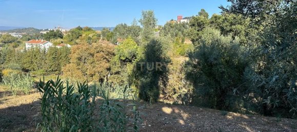 Grundstück in Coimbra, Portugal, Nr. 67973 12