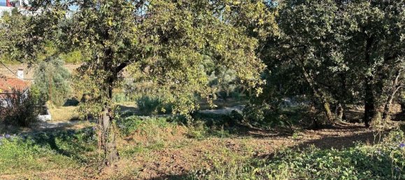 Grundstück in Coimbra, Portugal, Nr. 67973 25