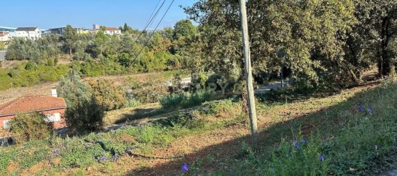 Grundstück in Coimbra, Portugal, Nr. 67973 8