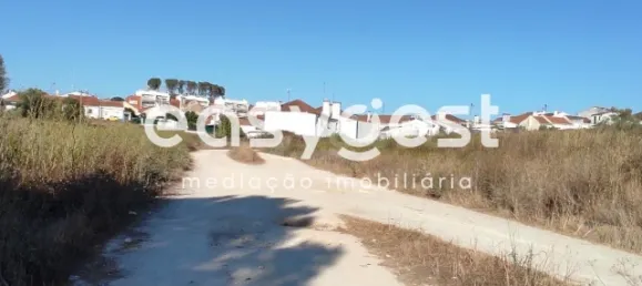 Земельный участок в Сантарен, Португалия № 68064 4