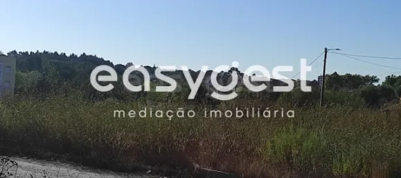 Земельный участок в Сантарен, Португалия № 68064 8