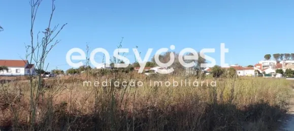 Земельный участок в Сантарен, Португалия № 68064 3