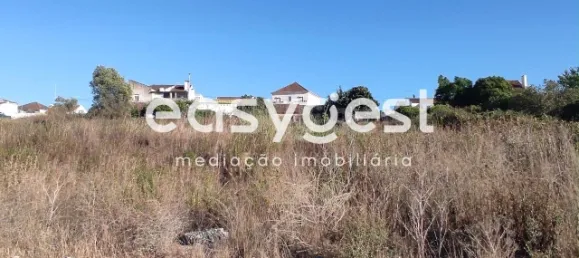 Земельный участок в Сантарен, Португалия № 68064 5